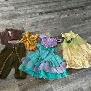 Disney Halloween Costumes Purple and Blue Princess Collection